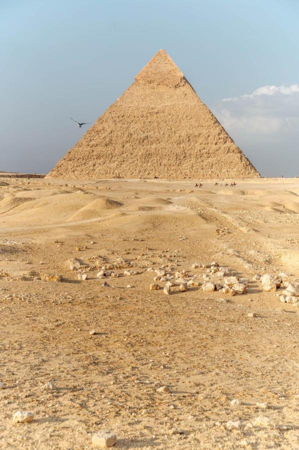 Alaaelddin Giza Pyramids